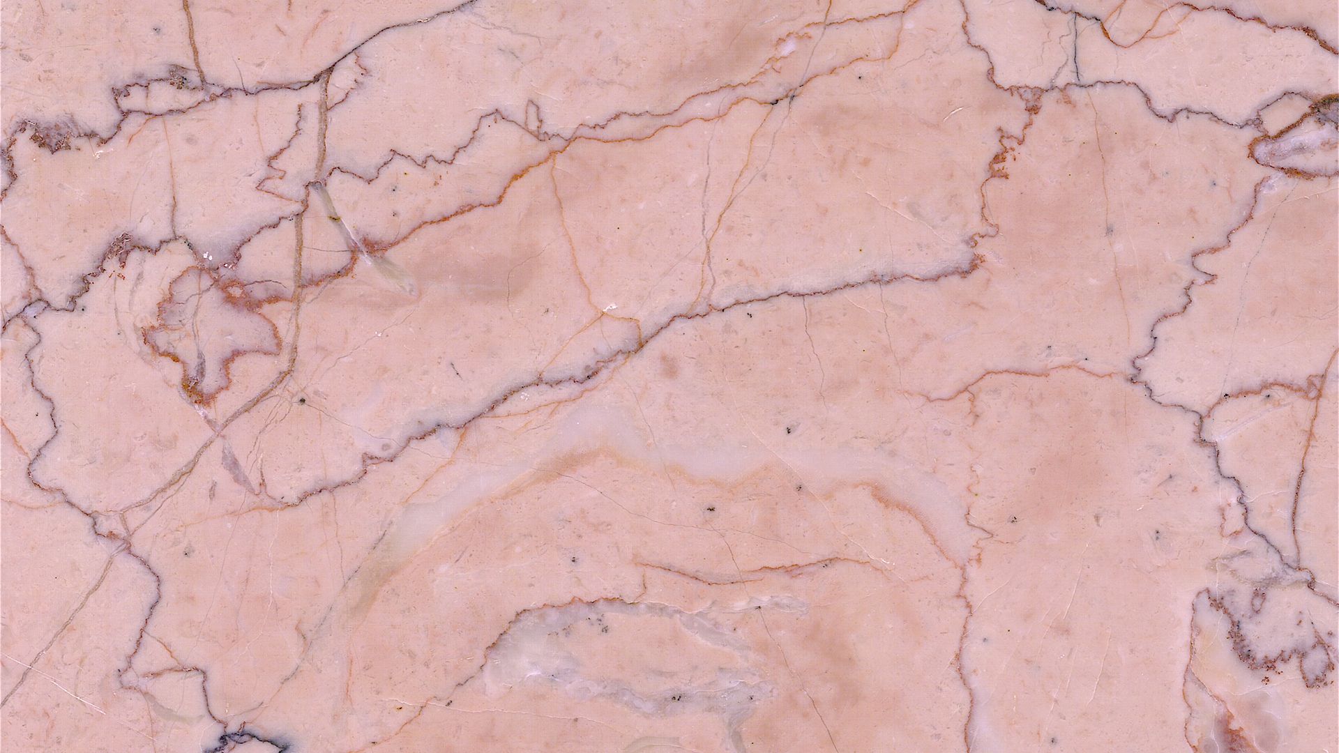 pink-spider-marble-surface.jpg