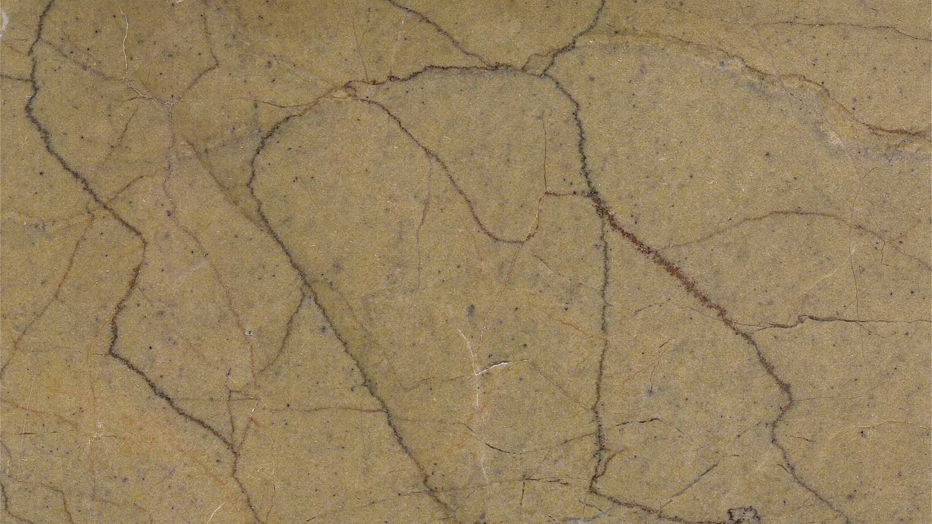 spider-yellow-marble-surface.jpg