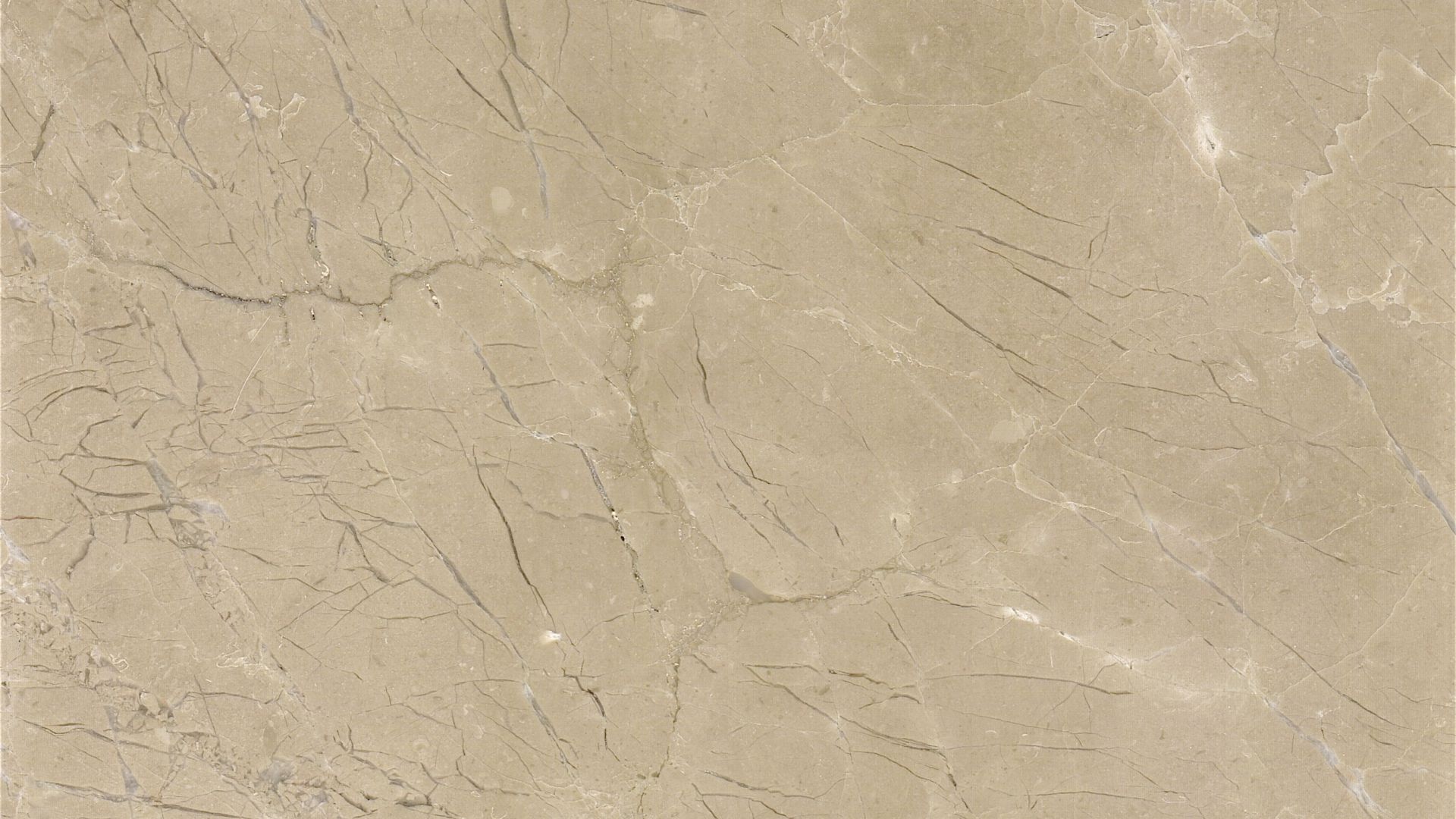ella-cream-marble-surface.jpg