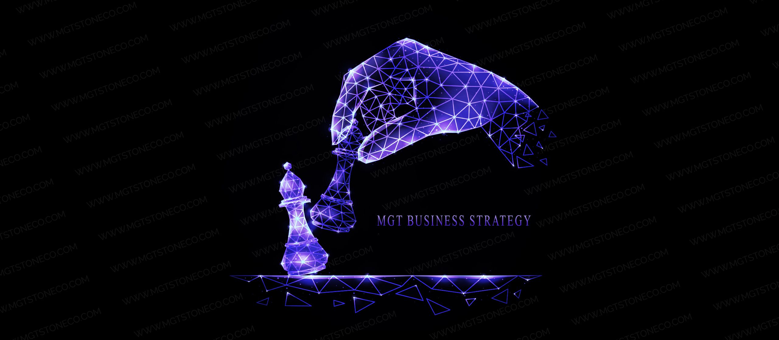 strategy mgt
